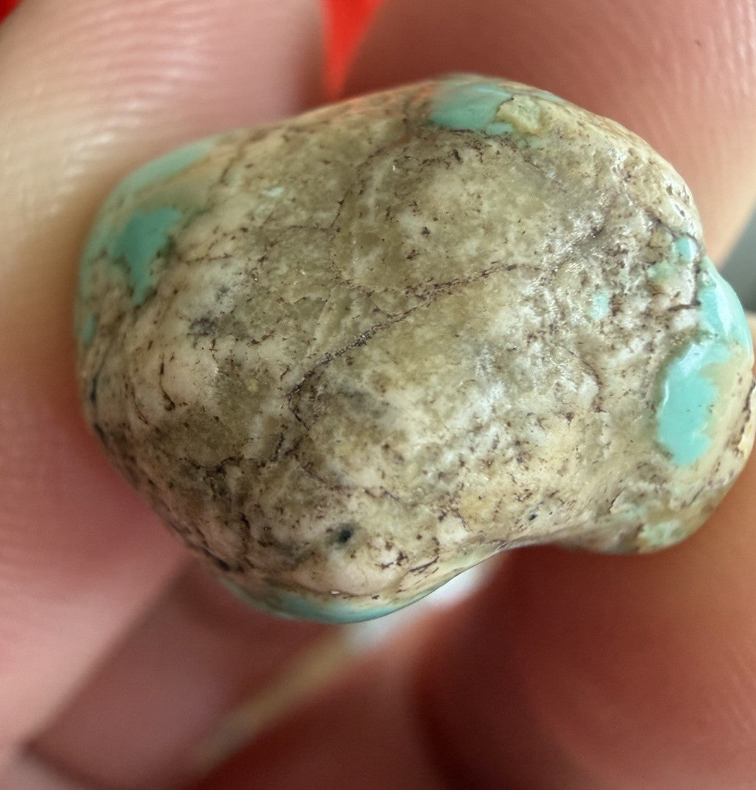 Natural Turquoise Nugget Polished Freeform Specimen 4.2g Blue Green Matrix